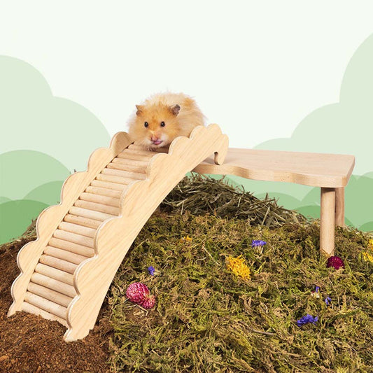 MyMiniPaws Hamaster Gerbil Toys, Rat Cage Accessories, Wooden Ladder Bridge Playground for Hamster, Small Animals, Dwarf - MyMinipaws